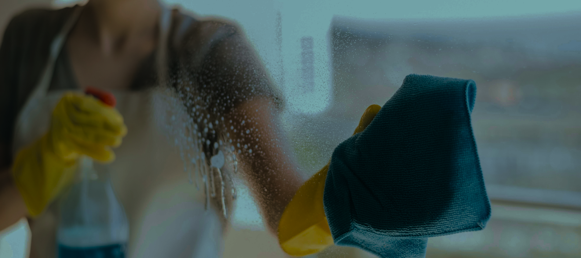 Woman cleaning a transparent window